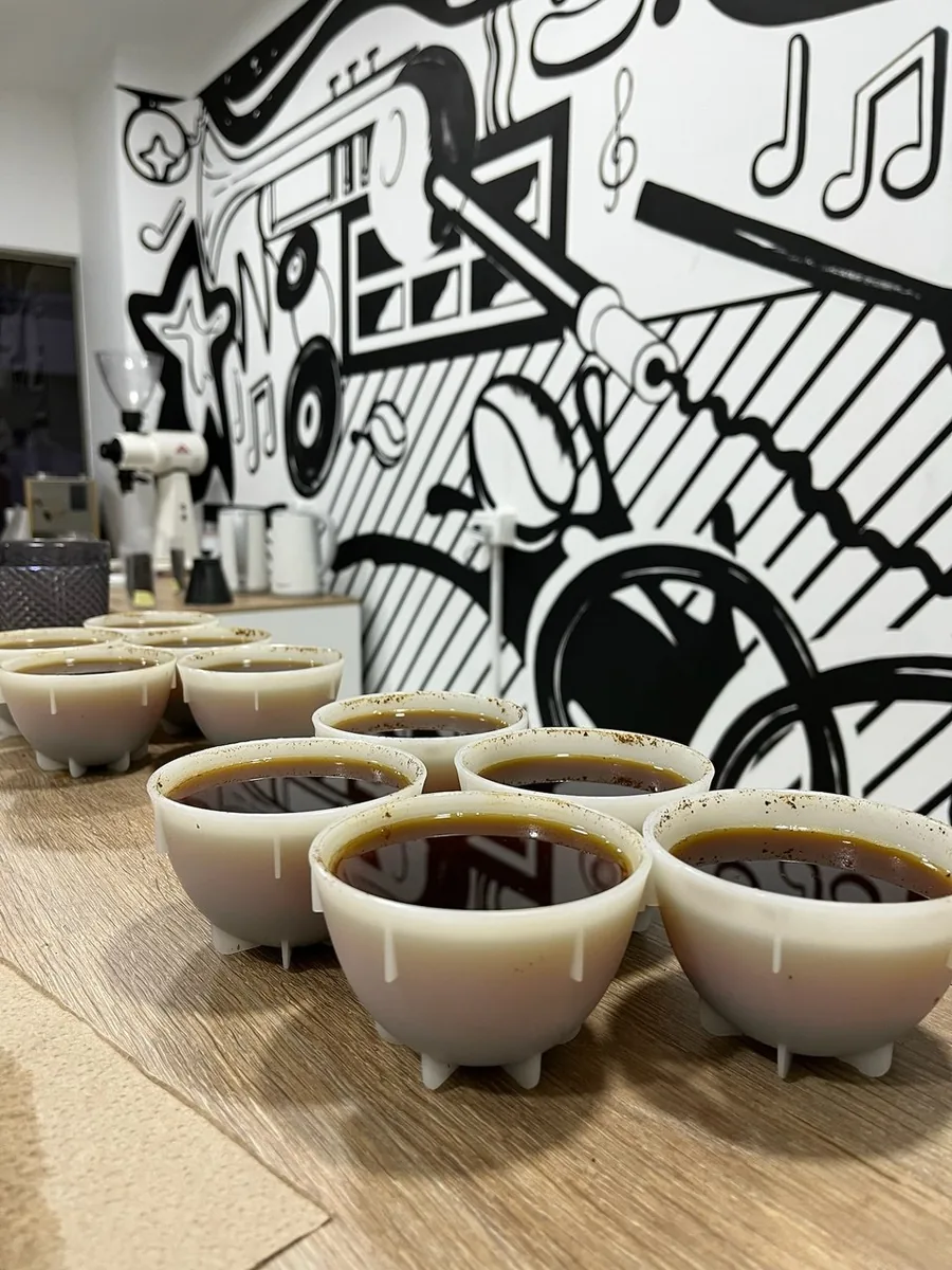 Mesa de catación — tazas preparadas para evaluar